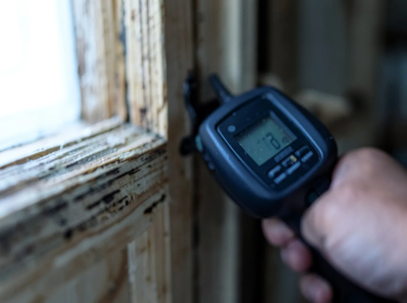 Moisture Inspection And Documentation in Plymouth, PA
